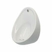 Picture of Atlas BS 40 Urinal