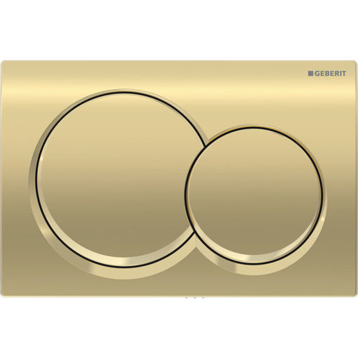 Picture of ACT PLATE ALPHA 01 D-FLUSH BRASS COLOURED