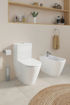 Picture of D-NEO CLOSE COUPLE PAN ONLY BACK TO WALL
