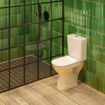 Picture of Lecico Comfort Close Couple Toilet Suite with Soft Close Seat
