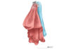 Picture of Bathroom Butler 8511 Double Robe Hook Brush